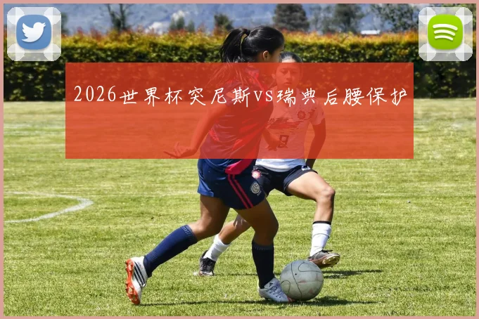 2026世界杯突尼斯vs瑞典后腰保护