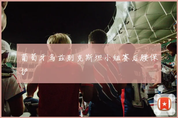 葡萄牙乌兹别克斯坦小组赛后腰保护