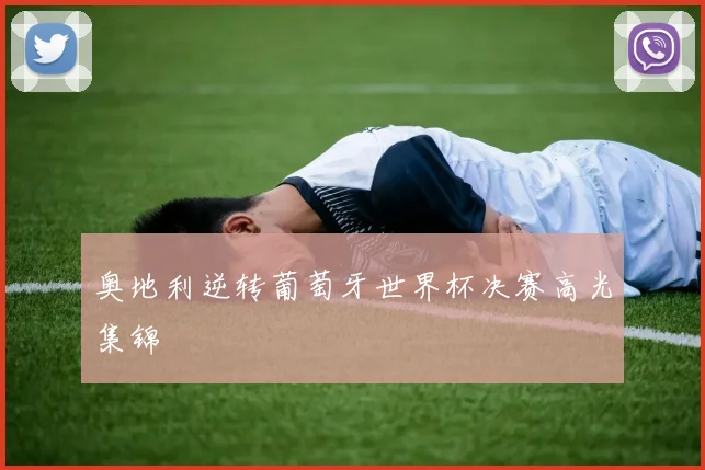 奥地利逆转葡萄牙世界杯决赛高光集锦