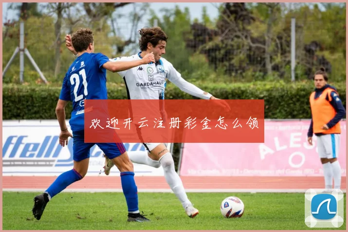 欢迎开云注册彩金怎么领